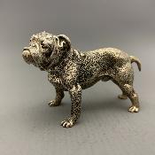 Silver BULLDOG